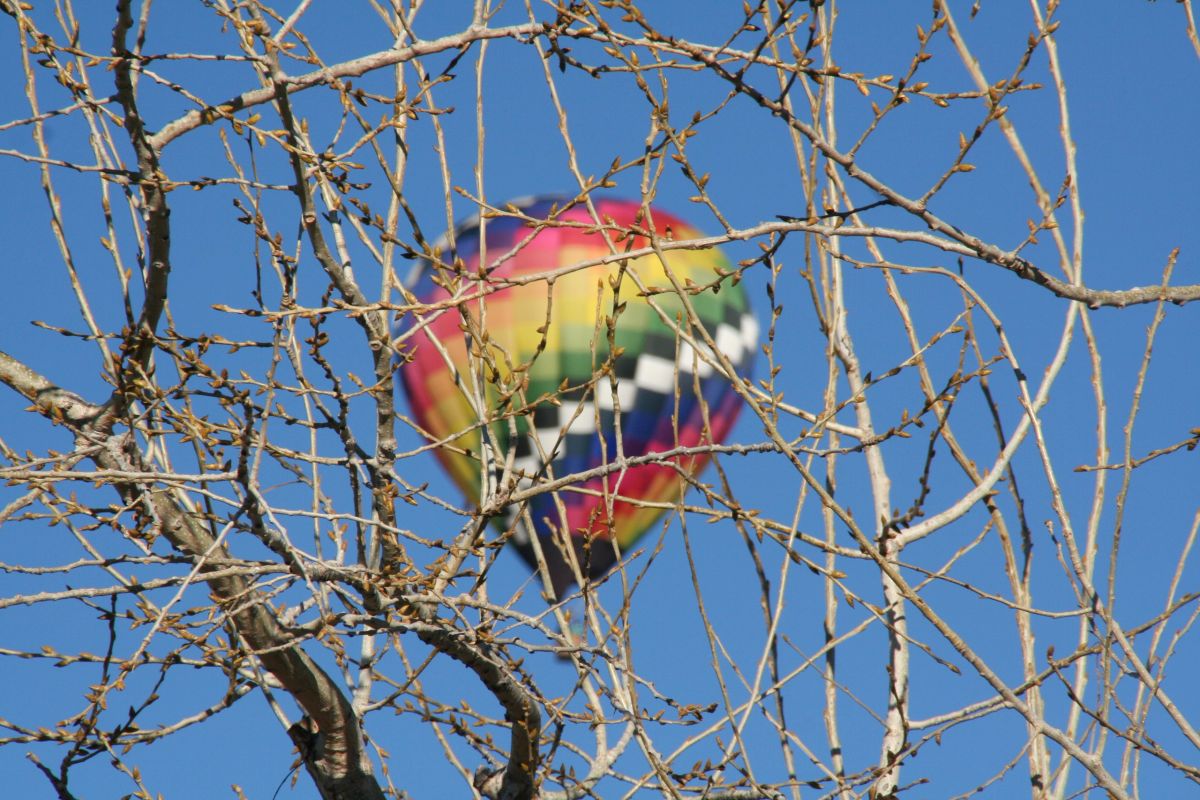 Hot air balloon photo 74