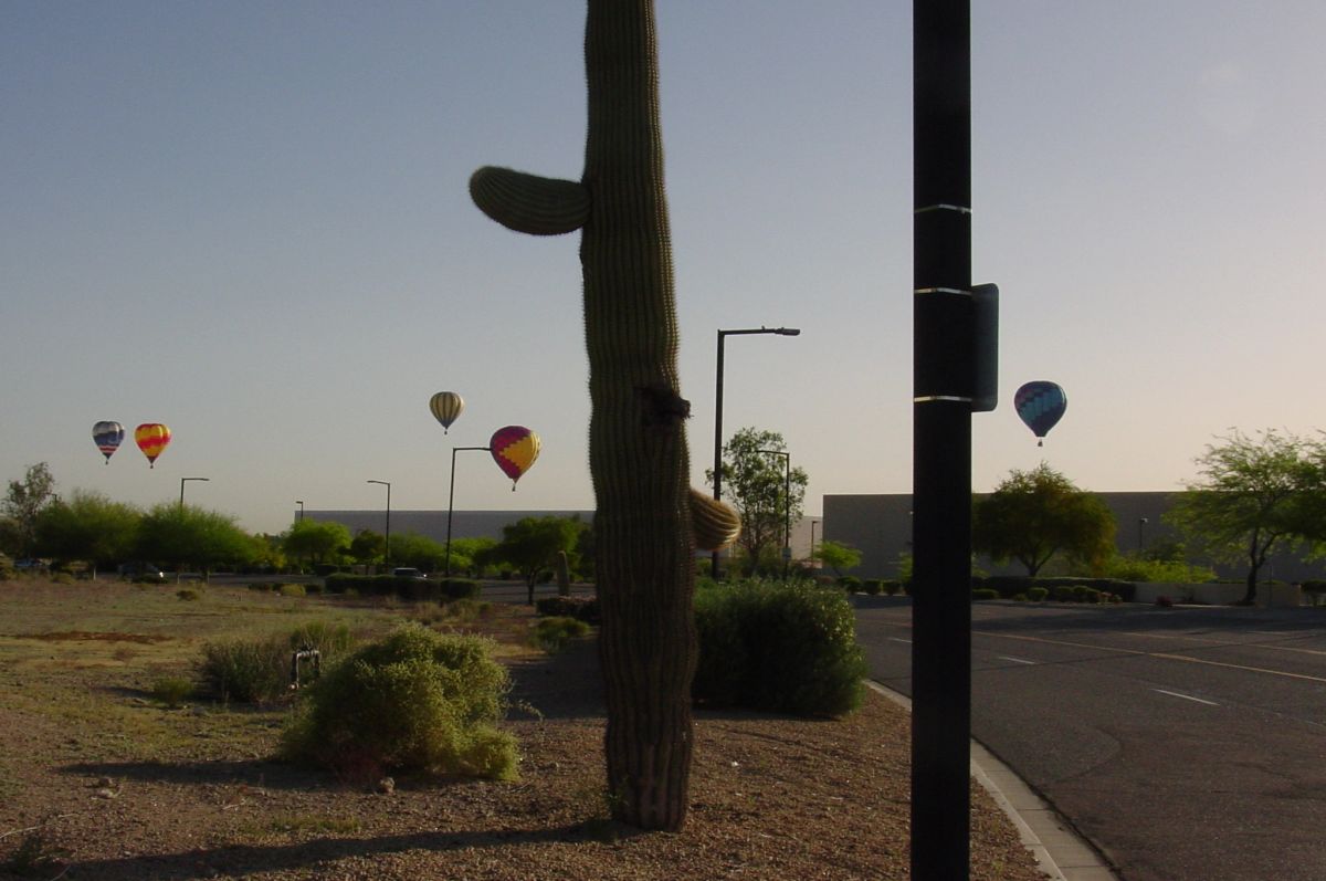 Hot air balloon photo 170