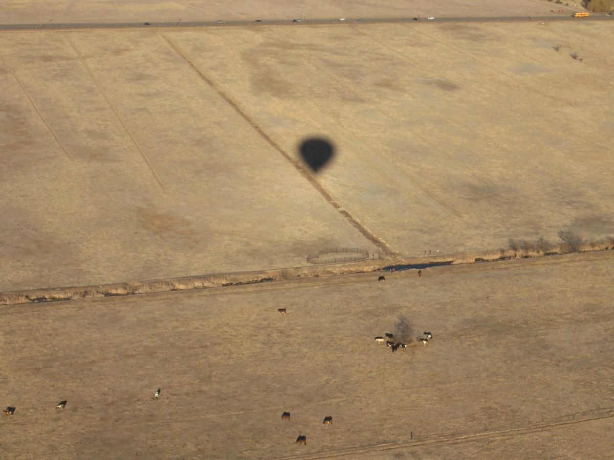 Hot air balloon photo 196