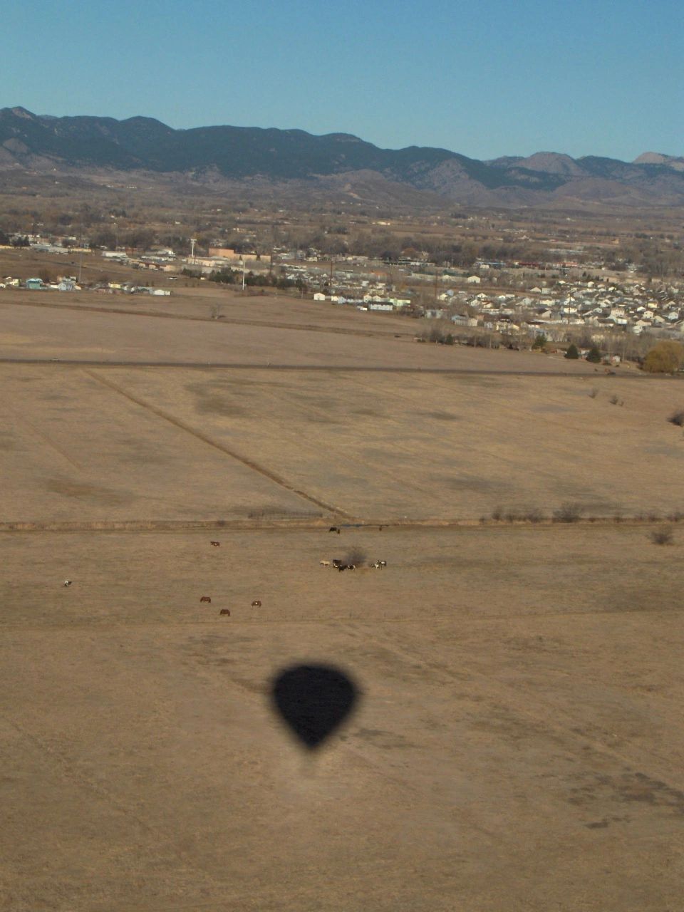 Hot air balloon photo 198