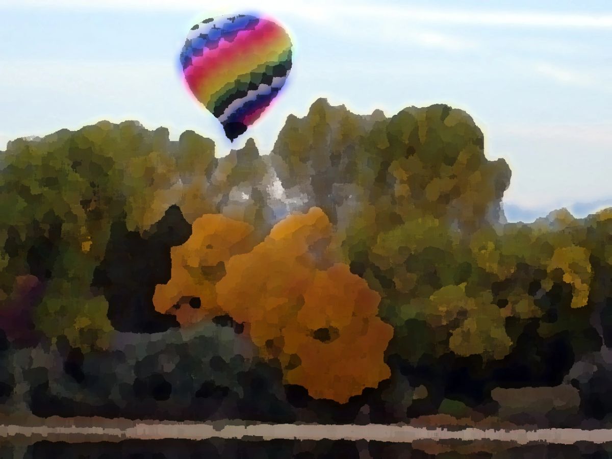Hot air balloon photo 215